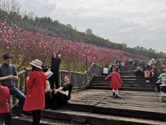 -重庆悦来温德姆酒店