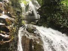 -藏龙百瀑风景区