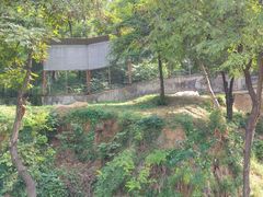 -石家庄市动物园