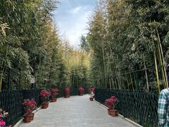 -红螺寺