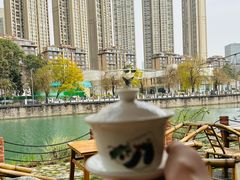 -成都市活水公园