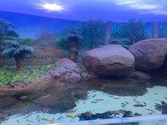 -上海海洋水族馆