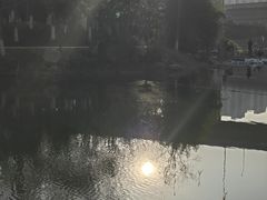 -洋湖国家湿地公园