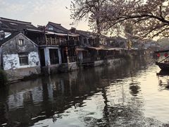 -西塘人家•黑金冠本地好店