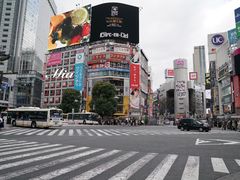 -涩谷全向十字路口