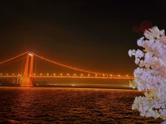 -武汉两江游览·夜游长江(汉口粤汉码头)
