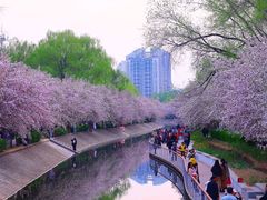 -海棠花溪(元大都城垣遗址公园)