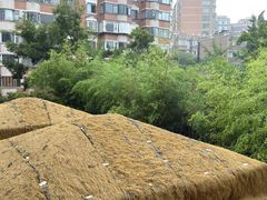 -翠湖里(翠湖南路店)