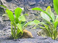 -上海海洋水族馆