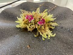 -和平官邸·花园餐厅(武定西路店)