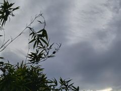 -北京益泉花园酒店