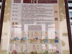 -广州神农草堂中医药博物馆