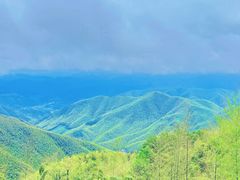 -莫干山风景区