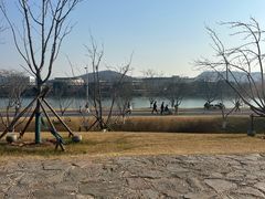 -羊山湖公园