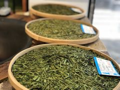 -西湖游船