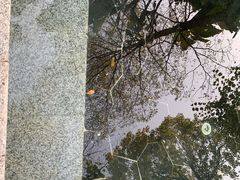 -清远熹乐谷温泉度假酒店