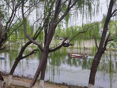 -桃花堤公园