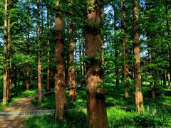 -国家植物园南园