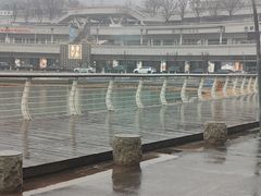 -东方早茶 海鲜•青岛菜(国信体育中心店)