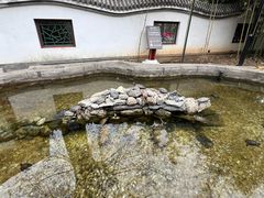 -红螺寺