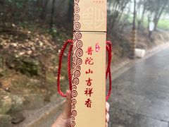 -普陀山风景区-佛顶山