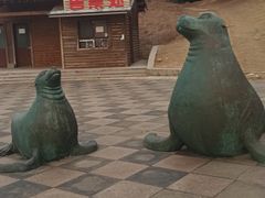 -养马岛旅游度假区