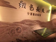-宁夏博物馆