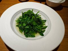 橄榄油高山豌豆苗-庆春朴门