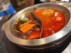 -大龙燚火锅(春熙店)