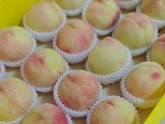 -老袁家蜜桃农场·阳山水蜜桃