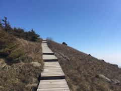 -白草畔自然风景区