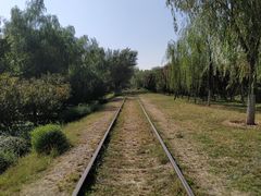 -永定河休闲森林公园