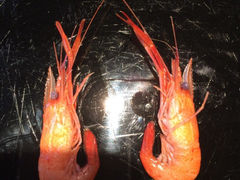 iphone_upload_pic-柳园春天特色餐厅(南浔古镇店)