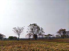 -盘龙城国家考古遗址公园