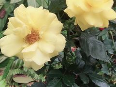 -人民公园(罗湖区)