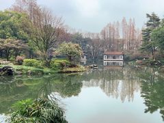 -杭州植物园