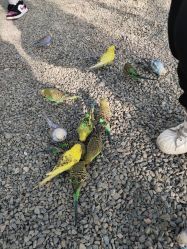 -萌宠亲子动物乐园(槐房万达店)