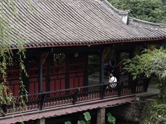 -桂湖森林公园