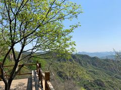 -大岭沟猕猴桃谷风景区