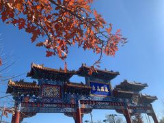 -北京西山国家森林公园