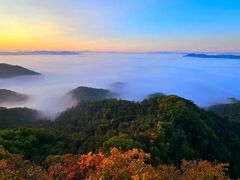-天女山森林公园