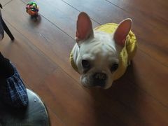 -Meowの猫咖(万家丽店)