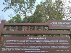 -大亚湾红树林城市湿地公园