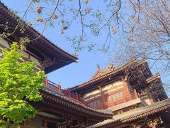 -西安青龙寺遗址景区