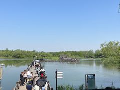 -溱湖国家湿地公园