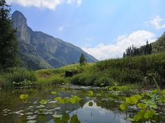 -鹿院坪生态旅游景区