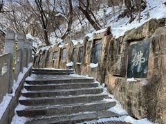 -高尔山公园