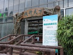 -石老人观光园