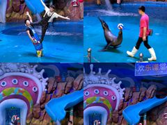 -烟台海昌鲸鲨海洋公园