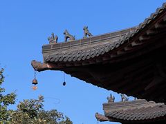 -杭州半山国家森林公园